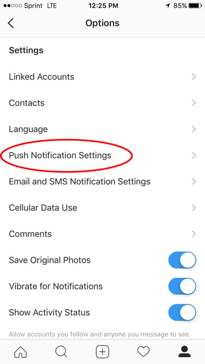 push notification settings option in instagram